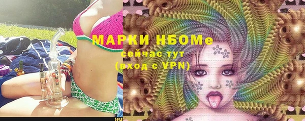 ПСИЛОЦИБИНОВЫЕ ГРИБЫ Баксан