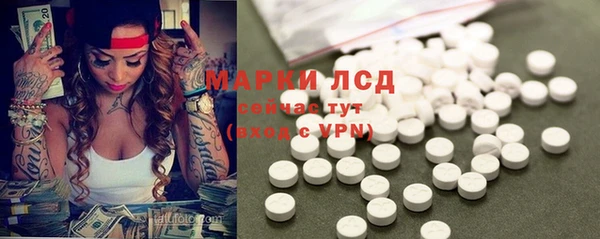 ешки Снежногорск