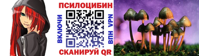 Галлюциногенные грибы Cubensis купить наркоту Малмыж